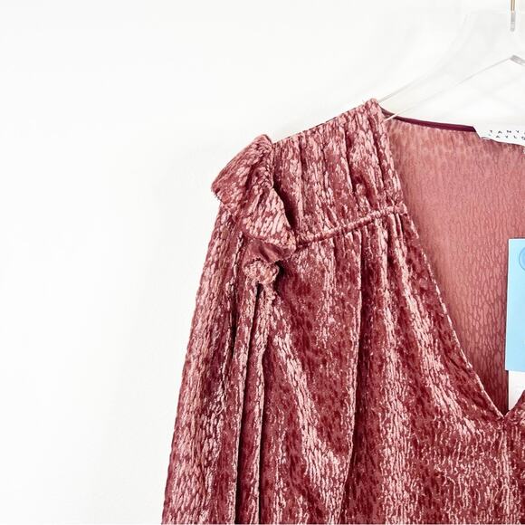 NWT Tanya Taylor Lucy Velvet Burnout Ruffle Blouse M Pink - Picture 5 of 7